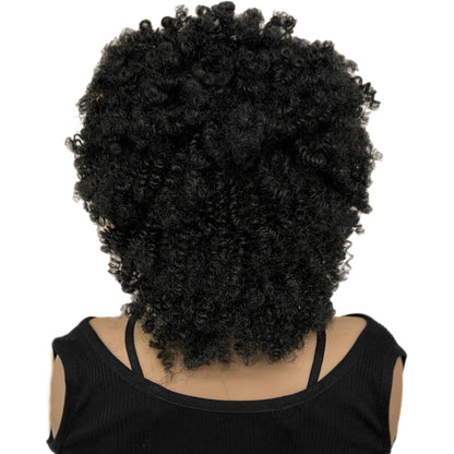 Afro Kinky Curly Synthetic Front Lace Wig with Front Braids [Style #2]
