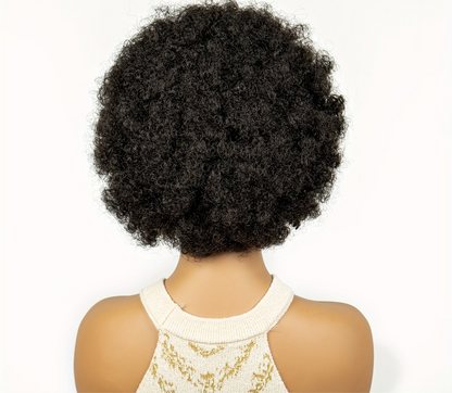 Perruque en Dentelle d’Afro Crépus Synthétique avec Nattes à l’Avant [Modèle #4]